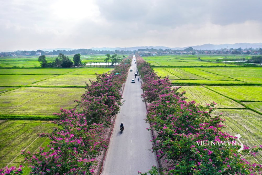 Có một Việt Nam hạnh phúc - ảnh 20