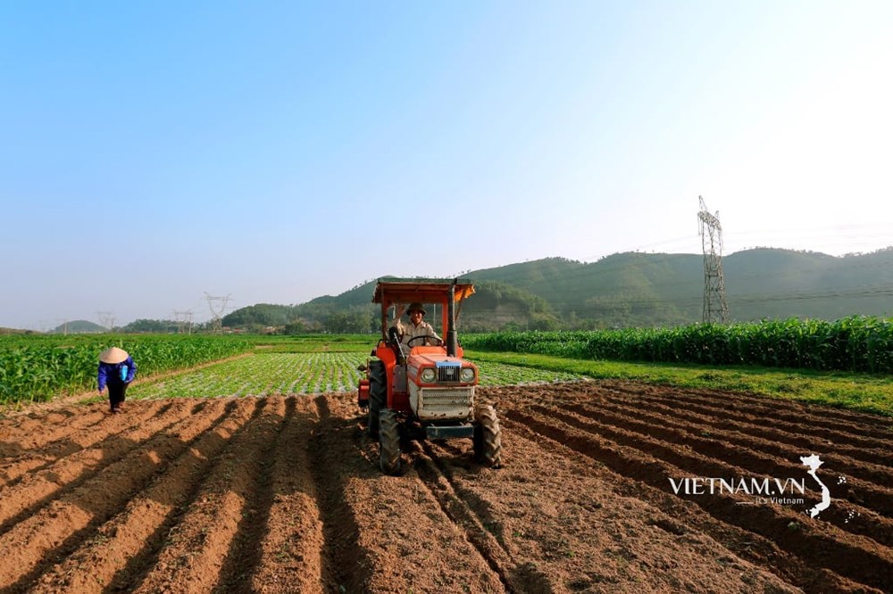 Có một Việt Nam hạnh phúc - ảnh 10