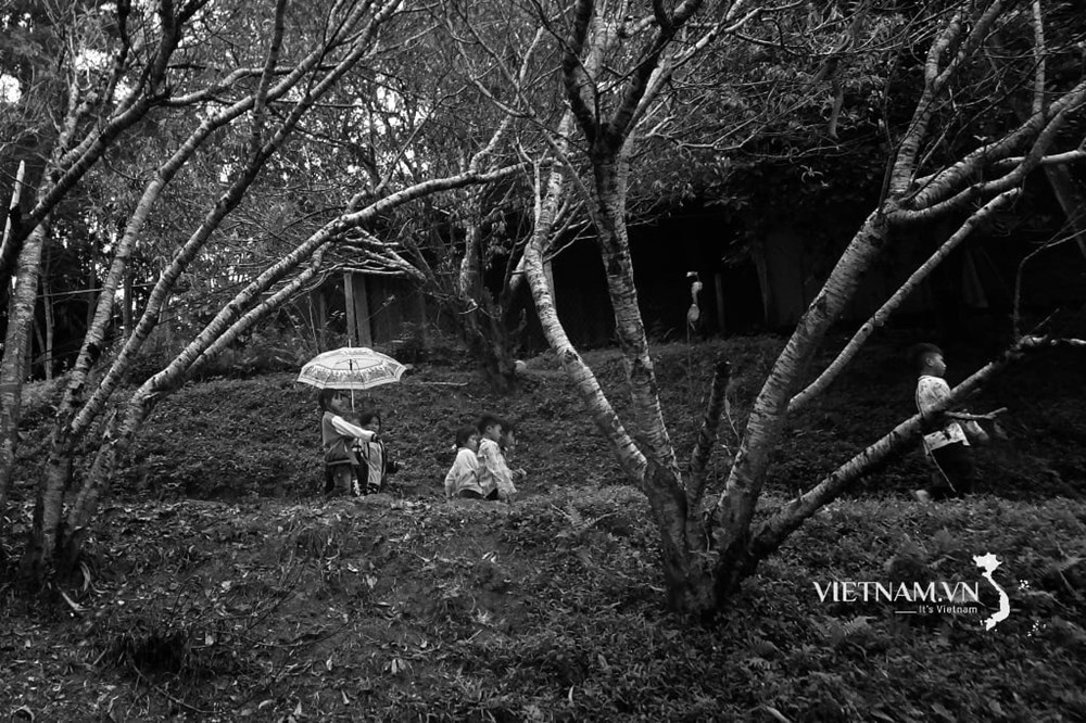 Có một Việt Nam hạnh phúc - ảnh 16
