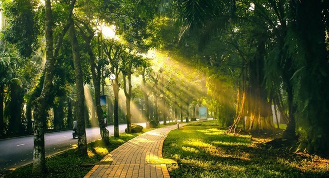 Dự báo thời tiết 21.8: Hà Nội mưa nắng đan xen, Trung Bộ có nơi nắng nóng - ảnh 1