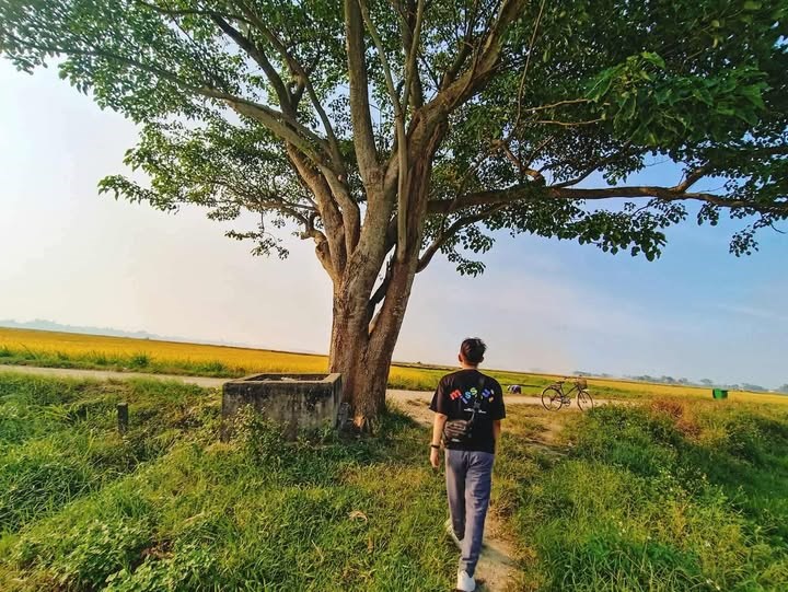 Kỳ 1 - “Việt Nam”, niềm tự hào giản dị mà sâu lắng - ảnh 2