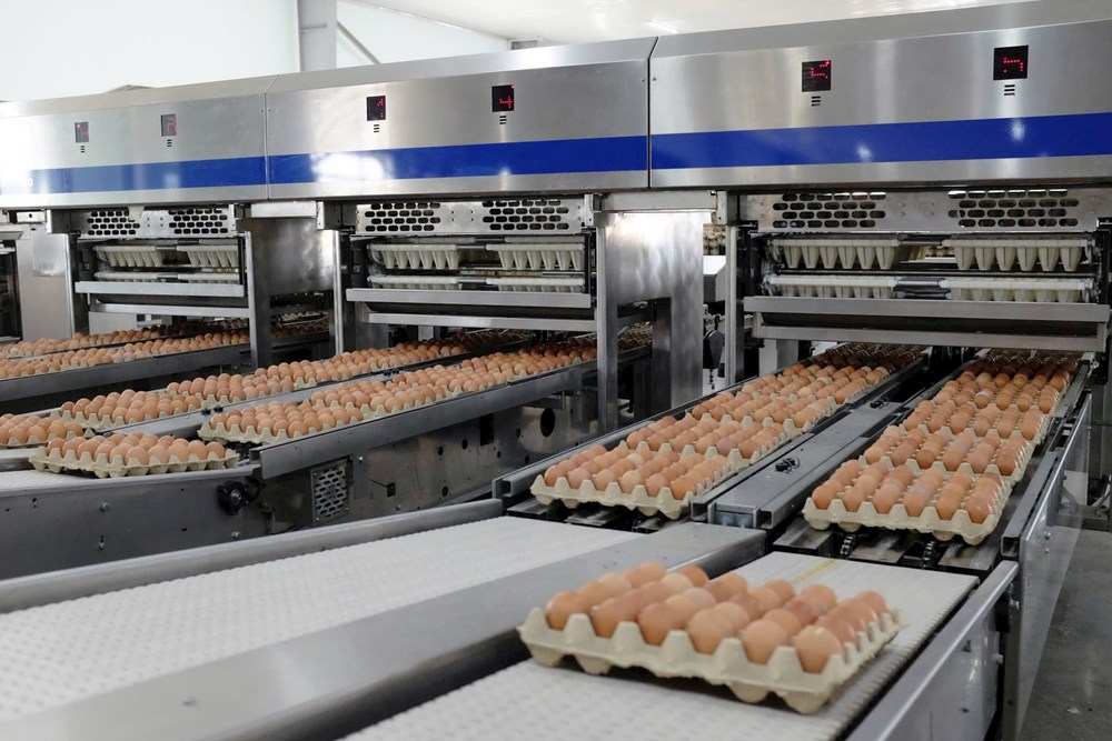 Hòa Phát muốn IPO mảng nông nghiệp - ảnh 1