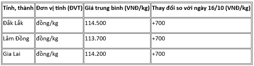 Giá cà phê hôm nay 17.10: Trong nước đảo chiều tăng 700 đồng/kg - ảnh 2