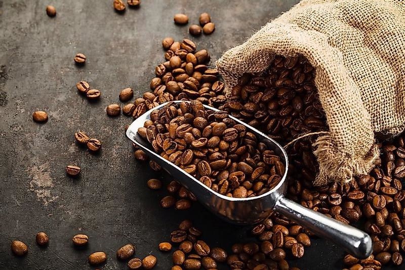 Giá cà phê hôm nay 17.10: Trong nước đảo chiều tăng 700 đồng/kg - ảnh 1
