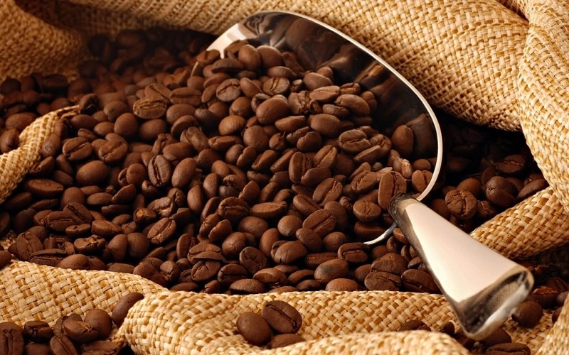 Giá cà phê hôm nay 19.10: Thị trường nội địa đồng loạt giảm 1.000 đồng/kg - ảnh 1