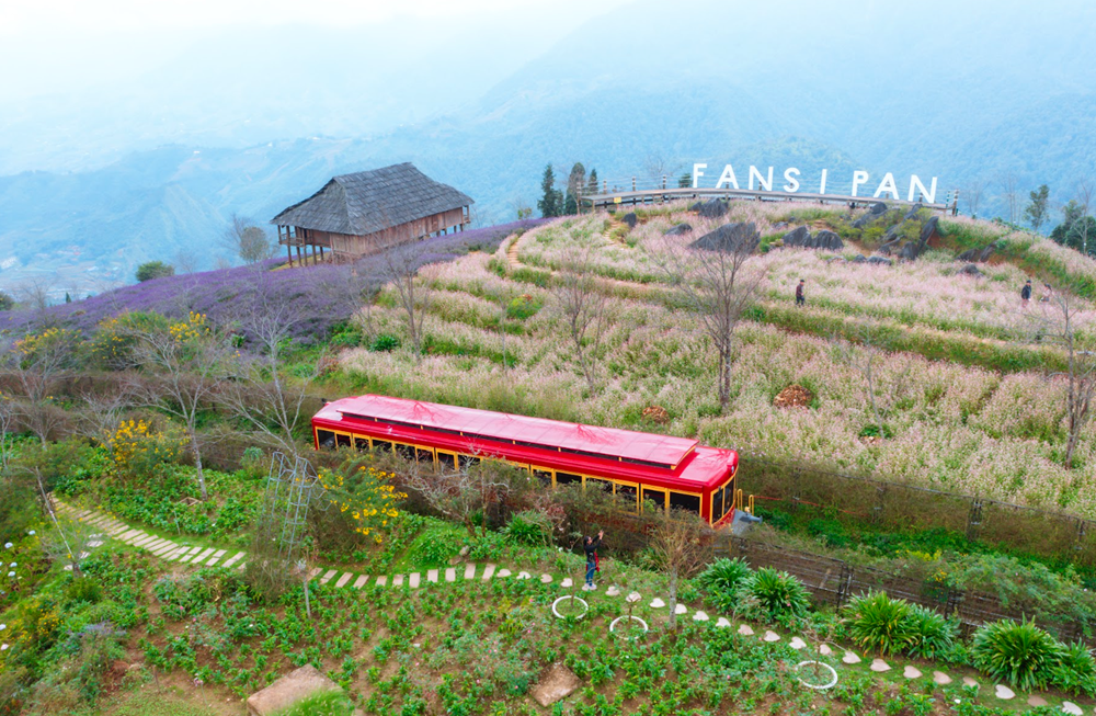 Du khách Tây thích thú săn mây, check in hoa Sen đá trên đỉnh Fansipan - ảnh 11