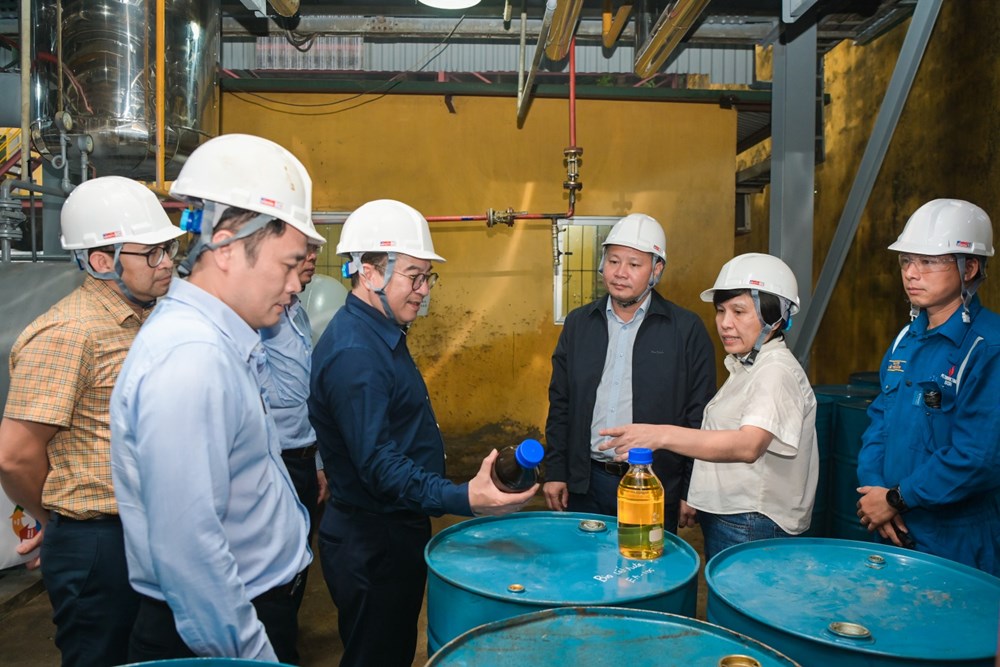 BSR đẩy nhanh tiến độ nghiên cứu nhiên liệu dầu diesel sinh học - ảnh 1