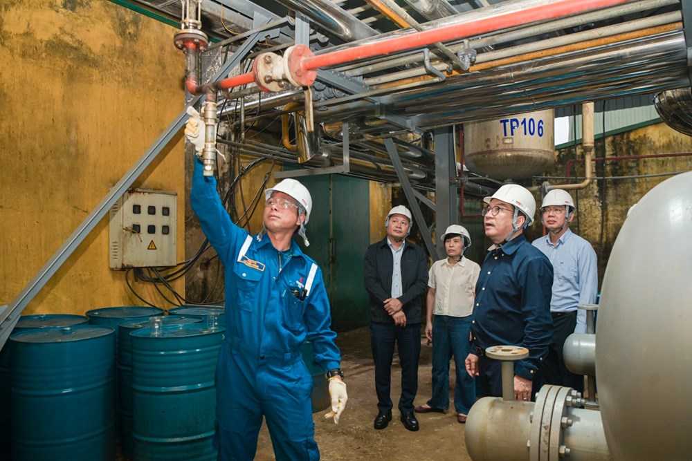 BSR đẩy nhanh tiến độ nghiên cứu nhiên liệu dầu diesel sinh học - ảnh 9