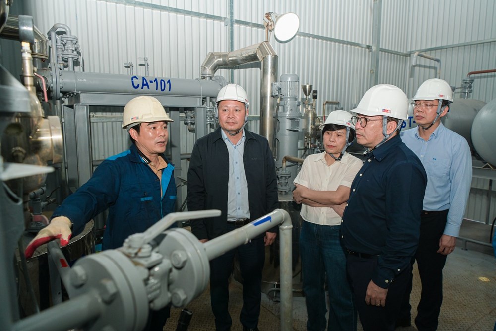 BSR đẩy nhanh tiến độ nghiên cứu nhiên liệu dầu diesel sinh học - ảnh 2