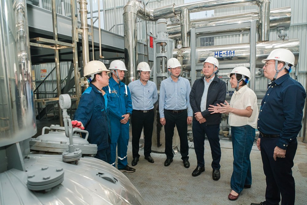 BSR đẩy nhanh tiến độ nghiên cứu nhiên liệu dầu diesel sinh học - ảnh 7