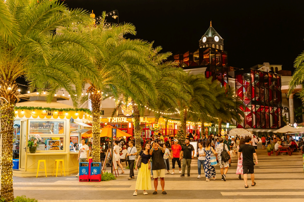 Cây thông bừng sáng: Phú Quốc chính thức bước vào mùa lễ hội rực rỡ nhất năm - ảnh 1