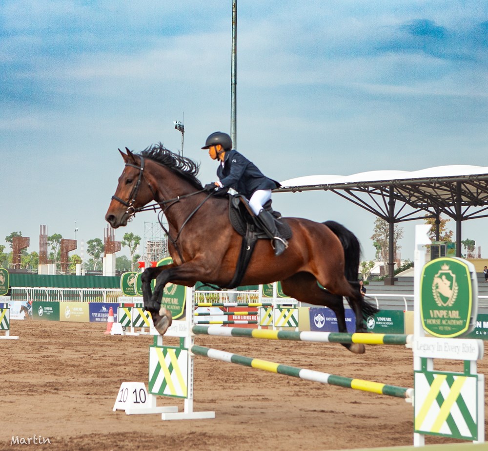 Vinpearl Equestrian Cup 2025: Bước đột phá của thể thao cưỡi ngựa Việt Nam - ảnh 1
