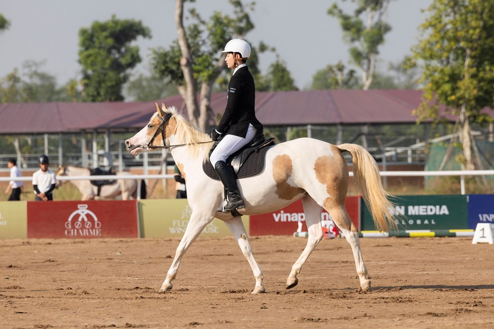Vinpearl Equestrian Cup 2025: Bước đột phá của thể thao cưỡi ngựa Việt Nam - ảnh 2