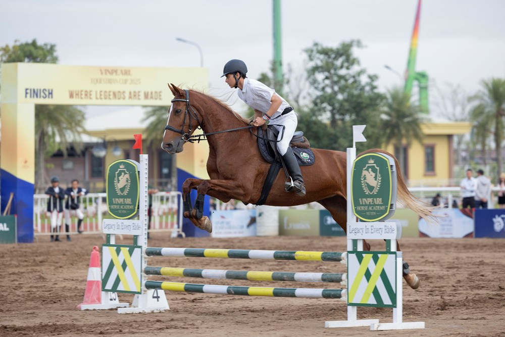 Vinpearl Equestrian Cup 2025: Bước đột phá của thể thao cưỡi ngựa Việt Nam - ảnh 3