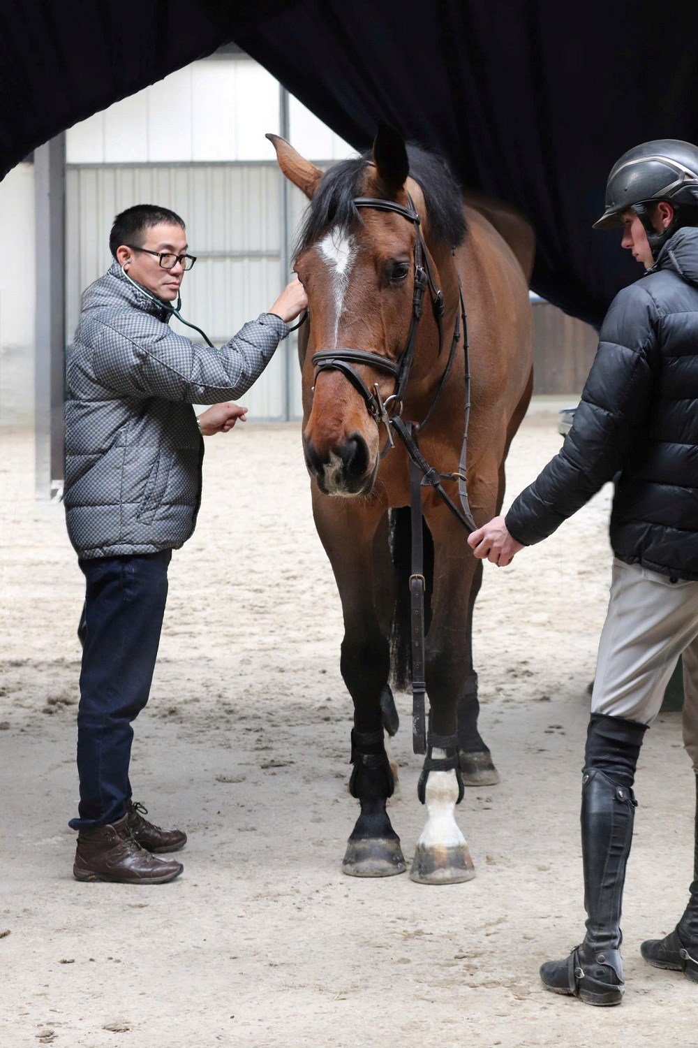 Vinpearl Equestrian Cup 2025: Bước đột phá của thể thao cưỡi ngựa Việt Nam - ảnh 5