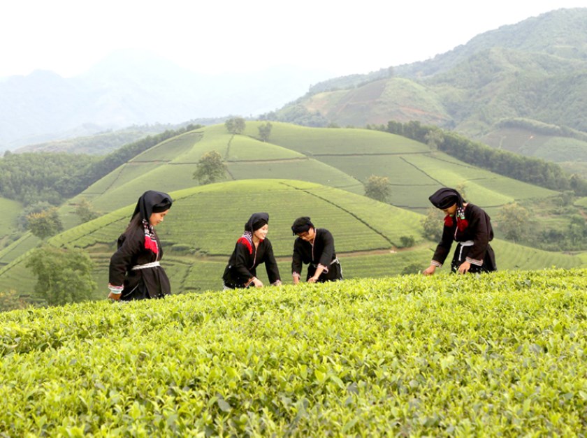 Phú Thọ: Nhiều điểm sáng tăng trưởng trong năm 2025 - ảnh 3