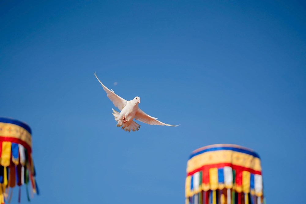 Đại lễ Cầu quốc thái dân an được tổ chức quy mô trên đỉnh núi Bà Đen, Tây Ninh - ảnh 3