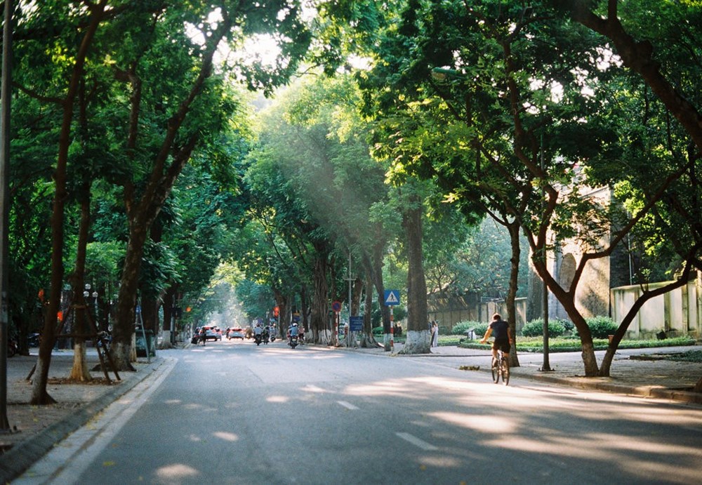 Dự báo thời tiết 31.12: Hà Nội sáng sớm trời rét, ngày có nắng - ảnh 1