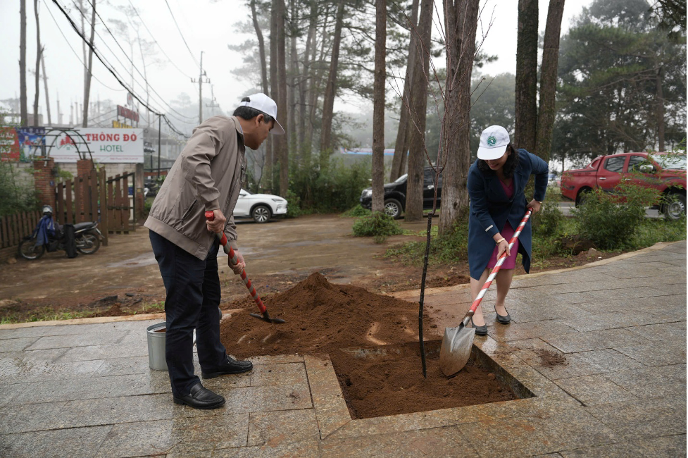 Từ “Hơi thở đại ngàn” đến “Sắc hồng giữa đại ngàn“: Quảng Ngãi bùng nổ chuối sự kiện chào năm mới 2026 sau sáp nhập - ảnh 5