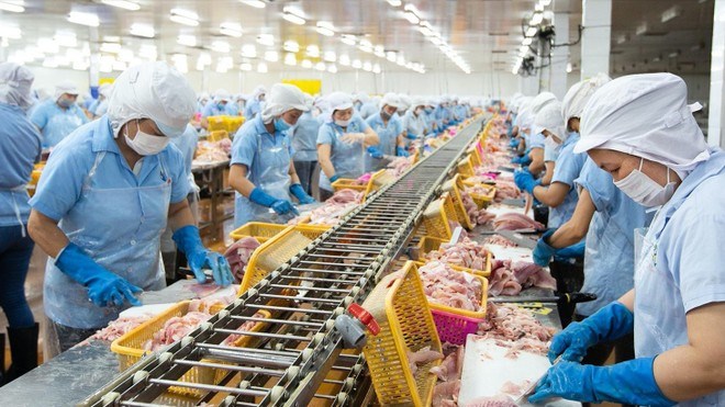 Chủ tịch HĐQT Nam Việt (ANV) đăng ký thoái toàn bộ vốn đang nắm giữ - ảnh 1