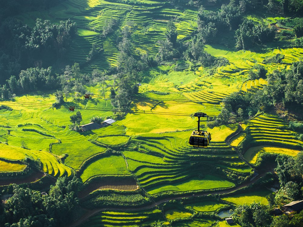 Không phải danh lam thắng cảnh, công viên chủ đề mới là xu hướng được du khách tìm kiếm nhiều nhất cho năm 2026 - ảnh 2