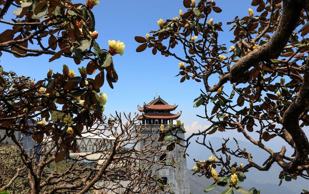 Cáp treo Fansipan – một thập kỷ đưa du lịch Sa Pa vươn tầm thế giới - ảnh 2