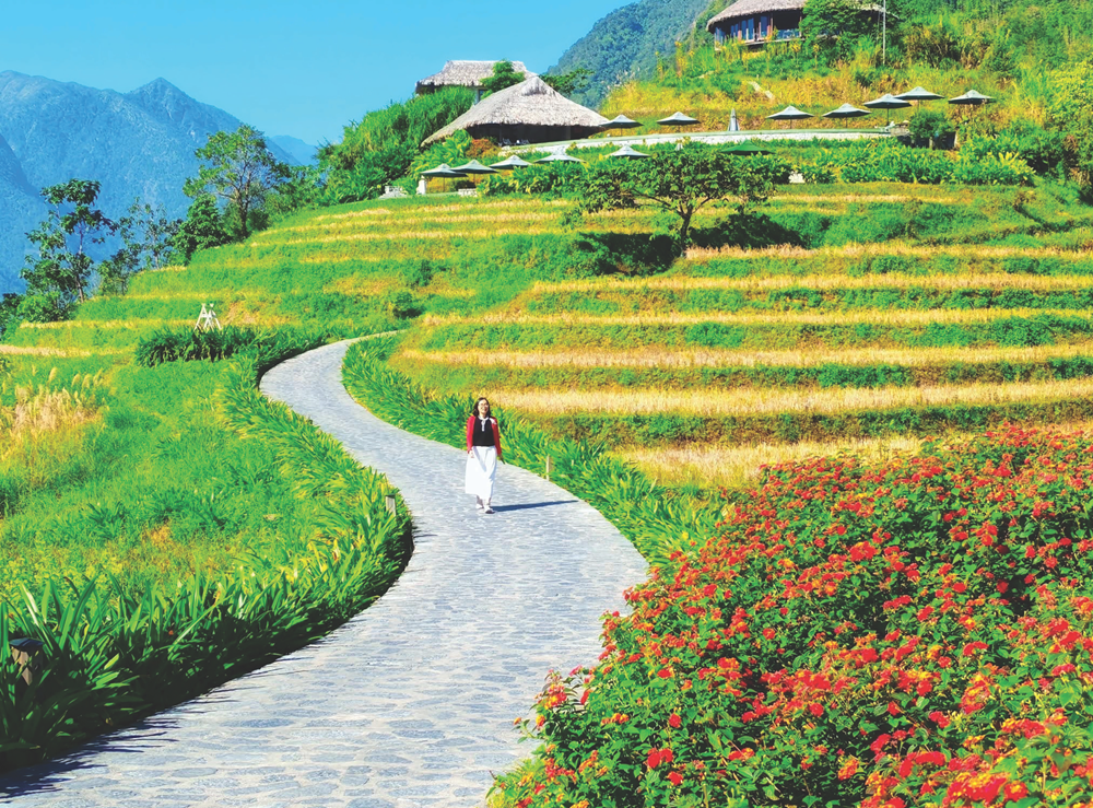 “Ta dại ta tìm nơi vắng vẻ…” - ảnh 1