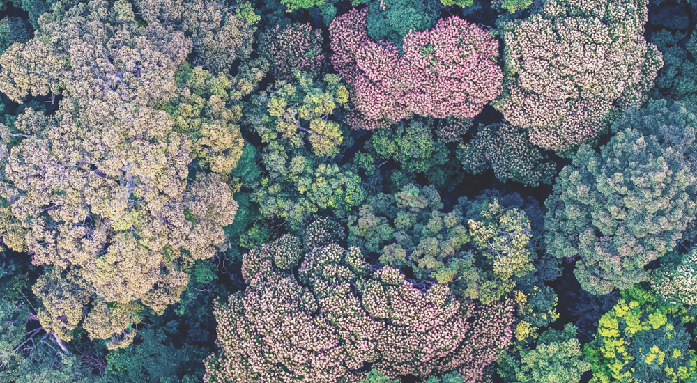 Hin Namno: Kỳ vĩ từ sự tĩnh lặng - ảnh 4