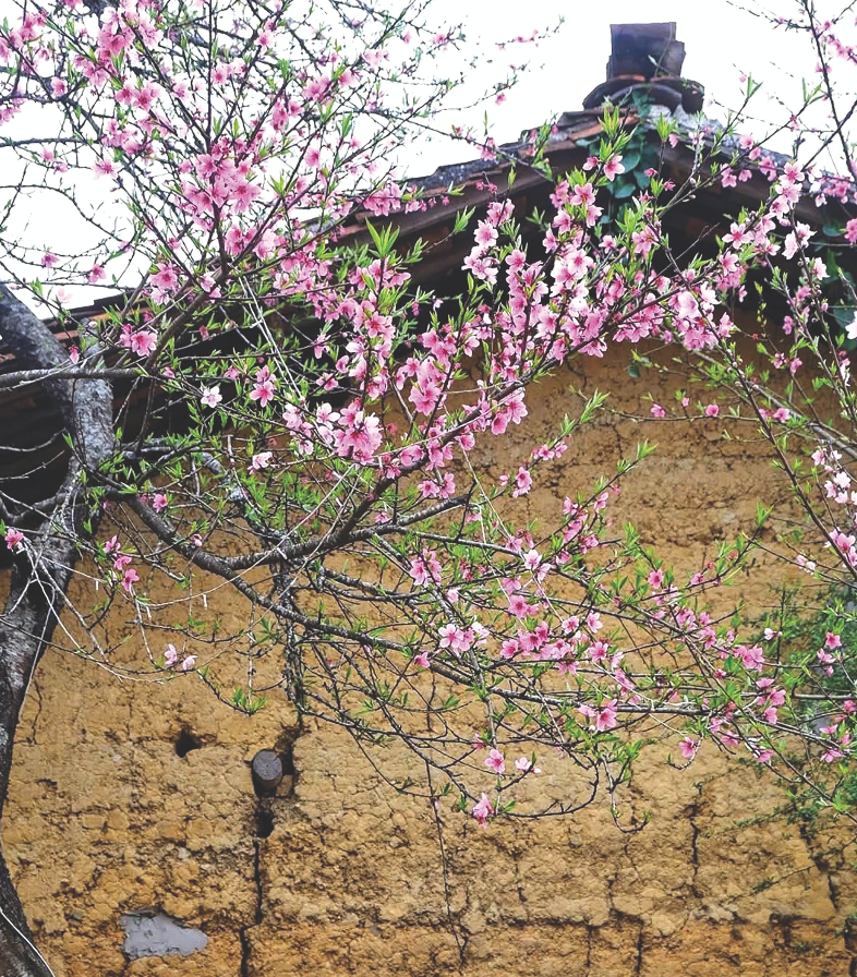 Mùa Xuân ở Lô Lô Chải và câu chuyện bước ra thế giới - ảnh 1