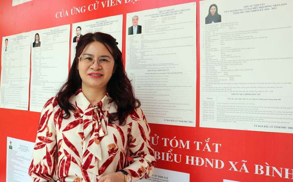 Phú Thọ: Văn hoá, truyền thông lan toả không khí Ngày hội non sông - ảnh 4