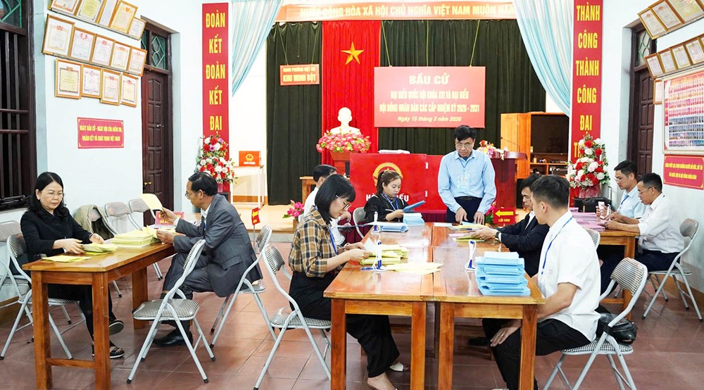 Phú Thọ: 99,91% cử tri đi bỏ phiếu bầu cử - ảnh 3