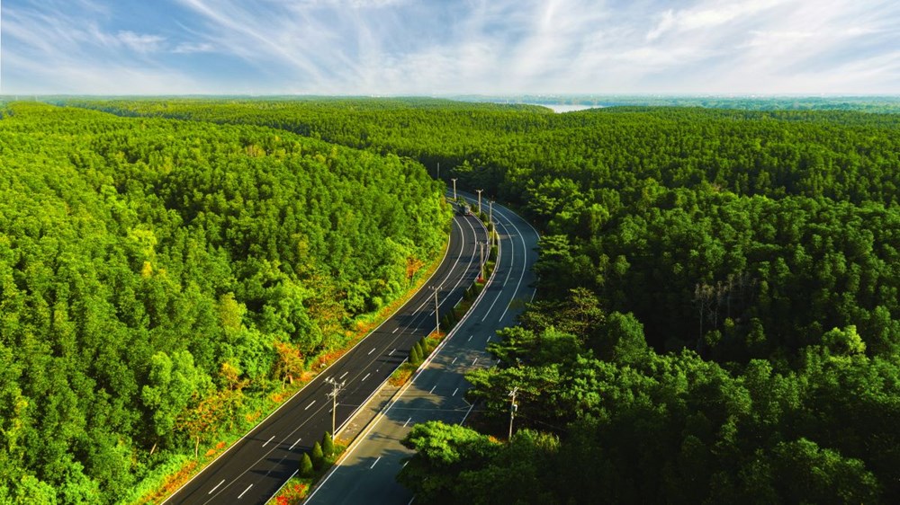 Vinhomes Green Paradise: Từ đường chạy 5.000 người đến tâm điểm sự kiện - du lịch mới của TP.HCM - ảnh 1