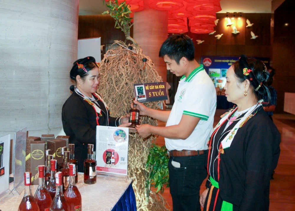 Phú Thọ: Khi sản phẩm OCOP trở thành “đại sứ” du lịch - ảnh 2