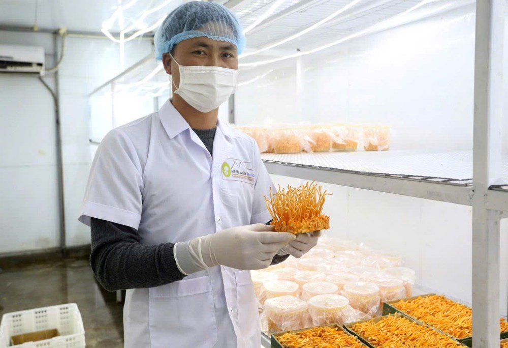 Phú Thọ: Khi sản phẩm OCOP trở thành “đại sứ” du lịch - ảnh 1