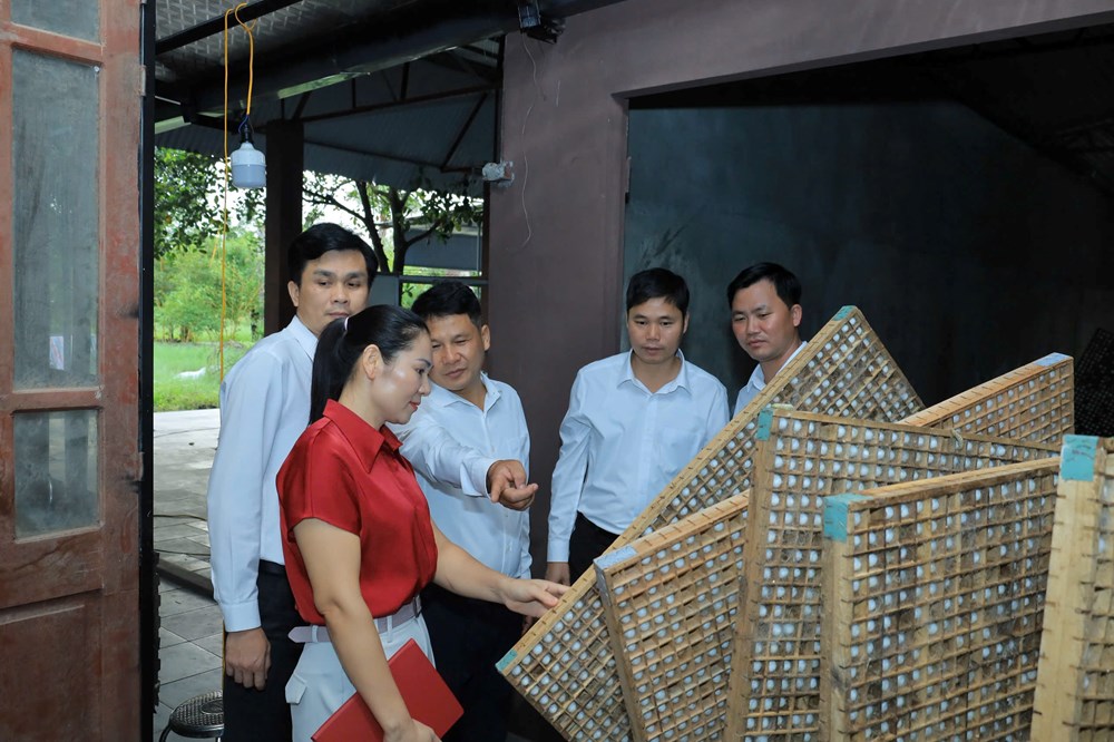 Phú Thọ: Khi sản phẩm OCOP trở thành “đại sứ” du lịch - ảnh 4