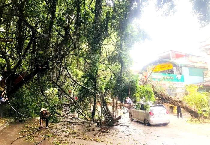 Phú Thọ: Khắc phục nhanh thiệt hại do mưa dông, gió giật tại khu di tích lịch sử Đền Hùng - ảnh 2