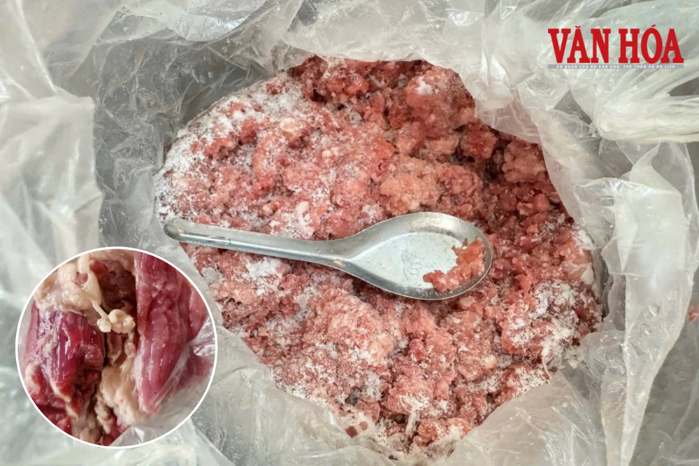 Khi nỗi lo bủa vây cha mẹ - ảnh 3