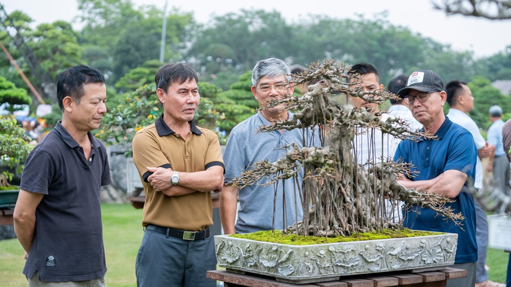 Triển lãm Nghệ thuật Bonsai 2026: Dấu ấn quy mô và tầm nhìn trong hành trình tôn vinh sinh vật cảnh Việt Nam - ảnh 6