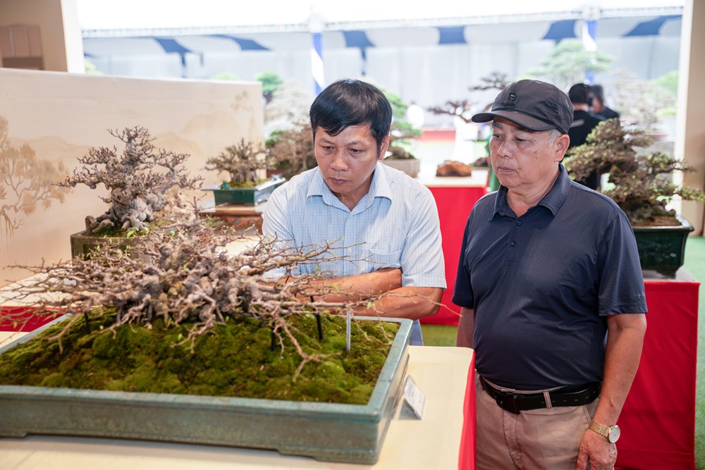 Triển lãm Nghệ thuật Bonsai 2026: Dấu ấn quy mô và tầm nhìn trong hành trình tôn vinh sinh vật cảnh Việt Nam - ảnh 10