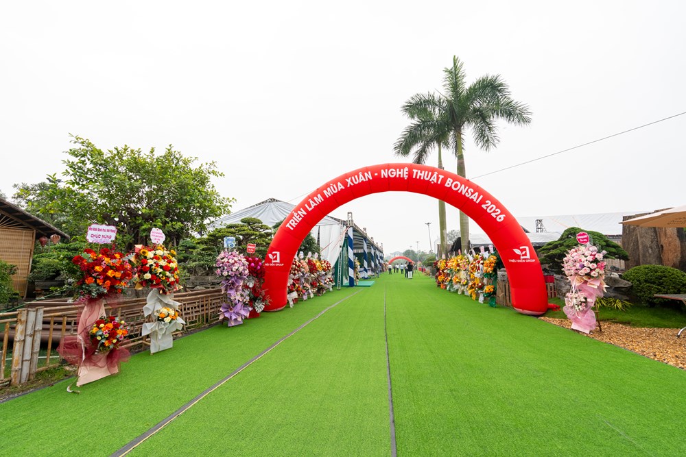 Triển lãm Nghệ thuật Bonsai 2026: Dấu ấn quy mô và tầm nhìn trong hành trình tôn vinh sinh vật cảnh Việt Nam - ảnh 15
