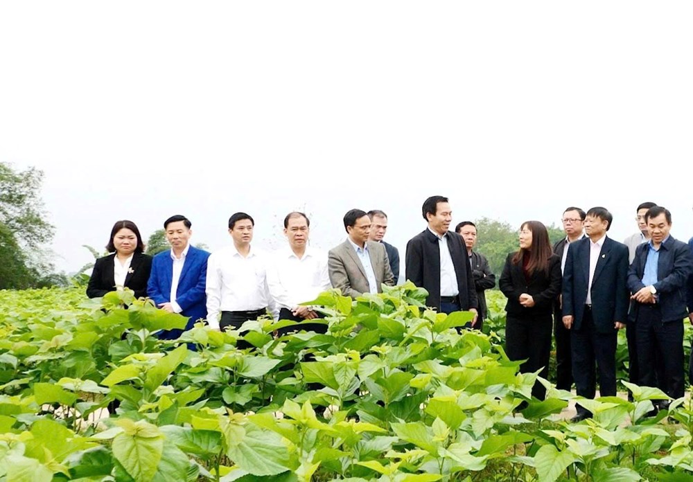 Lào Cai nâng cao chỉ số hạnh phúc: Lấy người dân làm trung tâm phát triển - ảnh 4