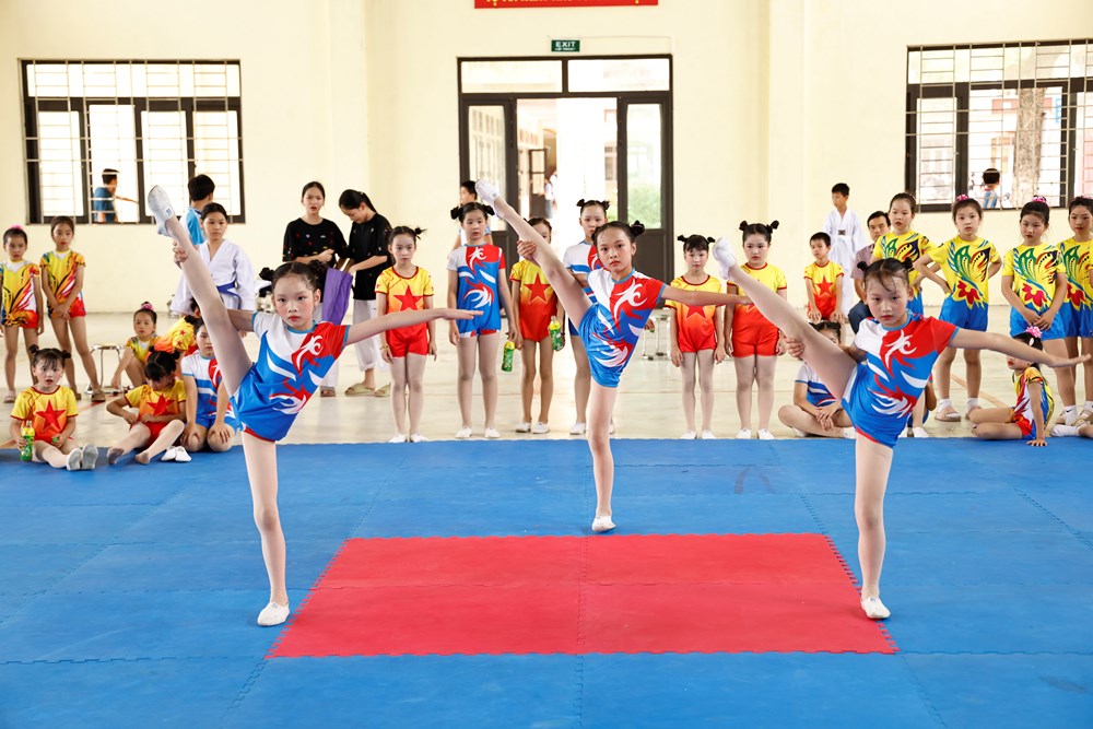 Phú Thọ hướng tới Hội khỏe Phù Đổng toàn quốc: Từ khí thế cơ sở đến khát vọng vươn xa - ảnh 4