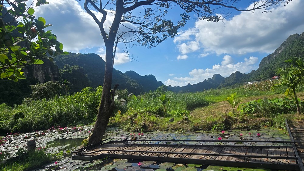 Việt Hải cổ - giữ nguyên bản sắc văn hoá của một làng quê cũ đẹp đến nao lòng - ảnh 3