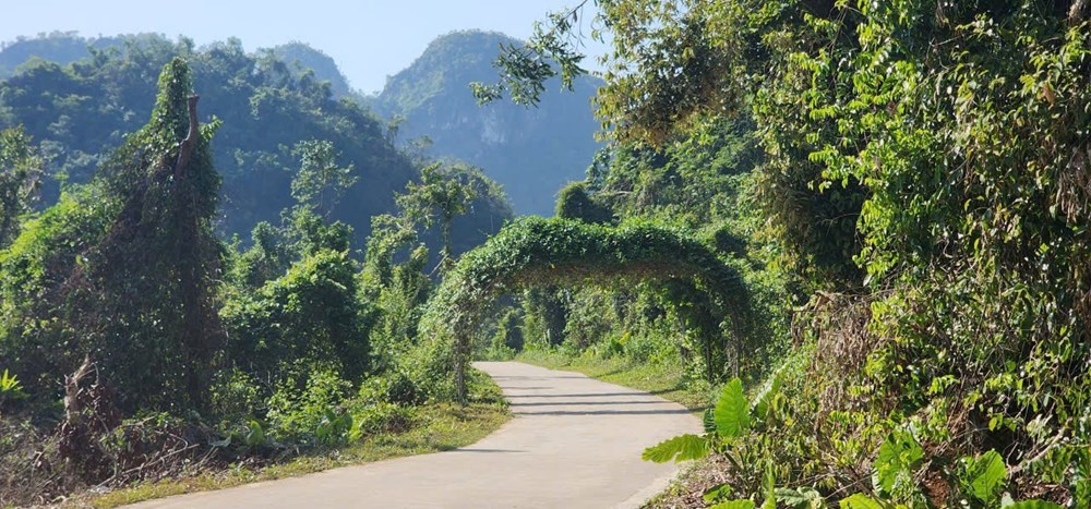 Việt Hải cổ - giữ nguyên bản sắc văn hoá của một làng quê cũ đẹp đến nao lòng - ảnh 2