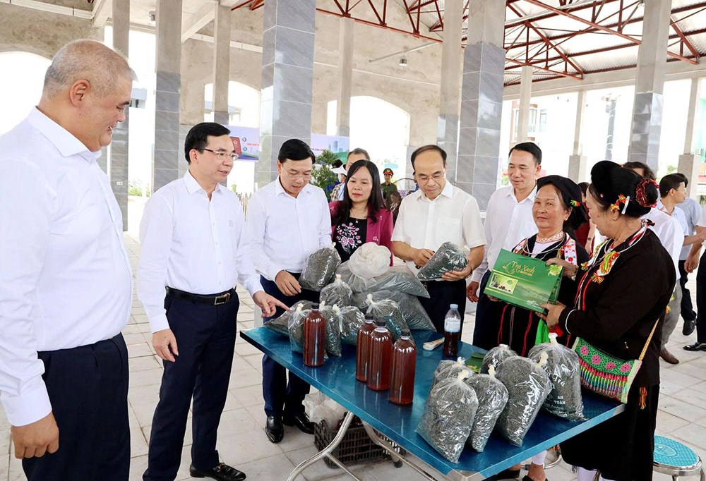 Phú Thọ: Phường Xuân Hòa đón nhận Huân chương Lao động hạng Nhì, khai mạc Tuần lễ Du lịch năm 2026 - ảnh 4