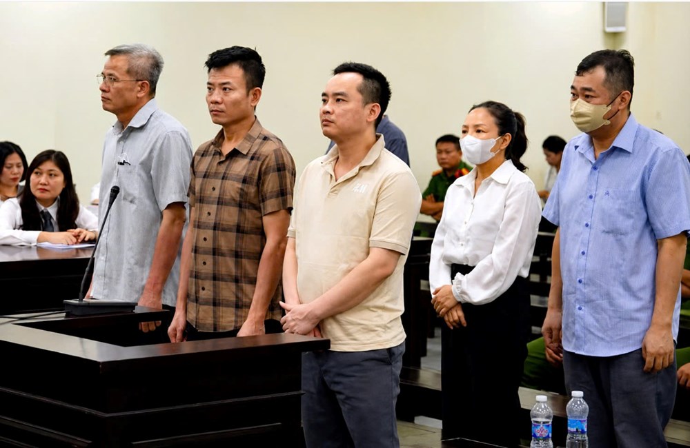 Cựu Chủ tịch Công ty Nam Triệu lĩnh 29 năm tù vì gây thiệt hại gần 24 tỉ đồng - ảnh 1