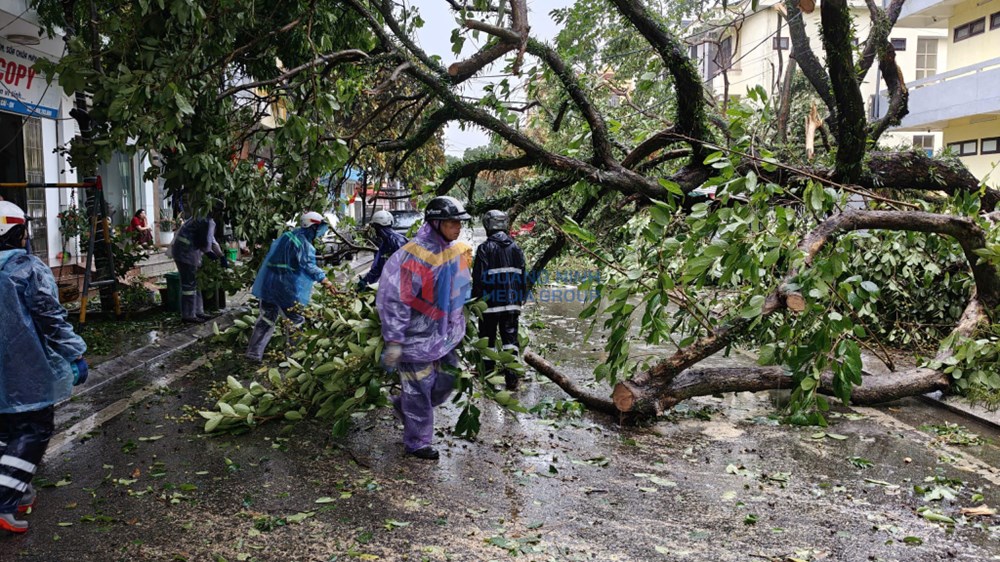 Quảng Ninh: Mưa lớn gây ngập cục bộ một số khu vực sau bão, không có thương vong về người - ảnh 1