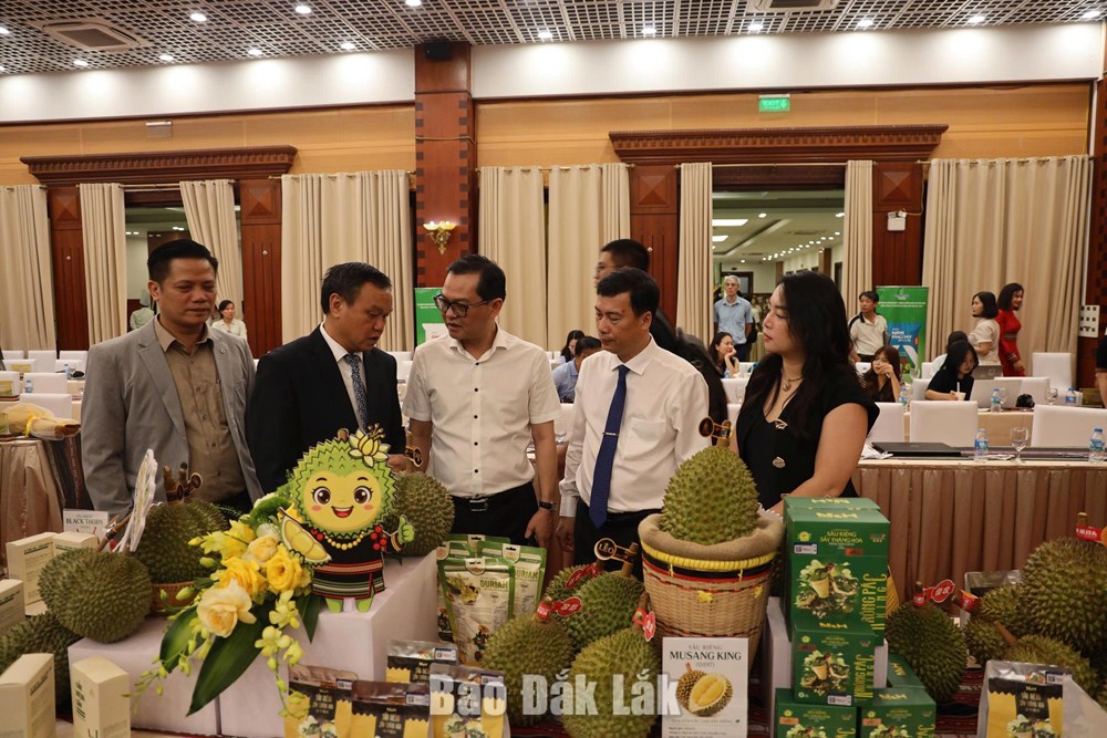 Lễ hội Sầu riêng Đắk Lắk năm 2026: Kết nối vươn xa, nâng tầm thương hiệu nông sản chủ lực - ảnh 2