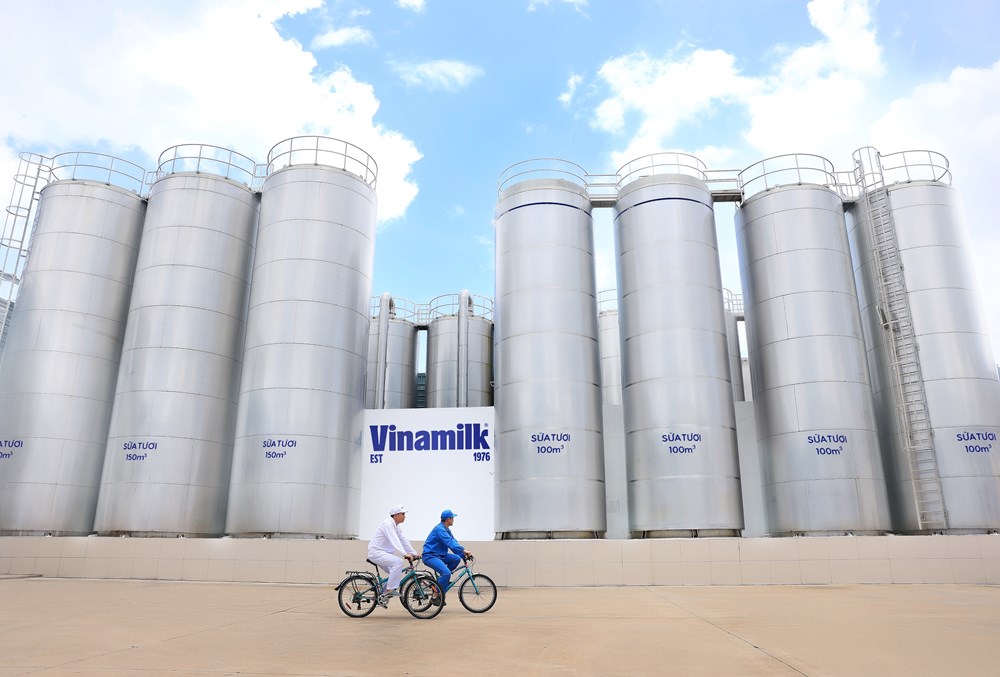 50 năm Vinamilk: Khi “đạt chuẩn” chưa phải là điểm dừng - ảnh 2
