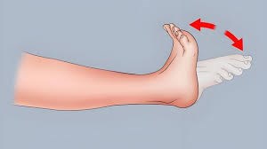 Kiễng chân giúp phòng ngừa huyết khối: Danh y xác nhận là thật, thêm 2 động tác khác cũng hiệu quả - ảnh 4